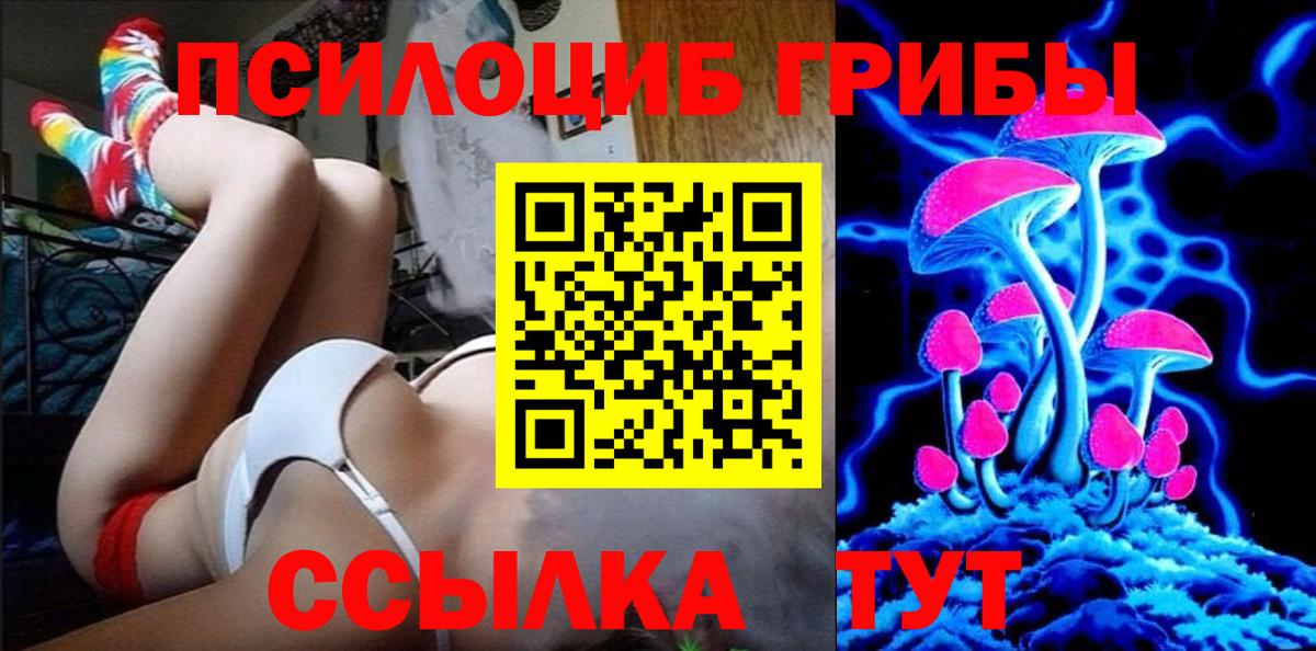 Галлюциногенные грибы Magic Shrooms Волгоград