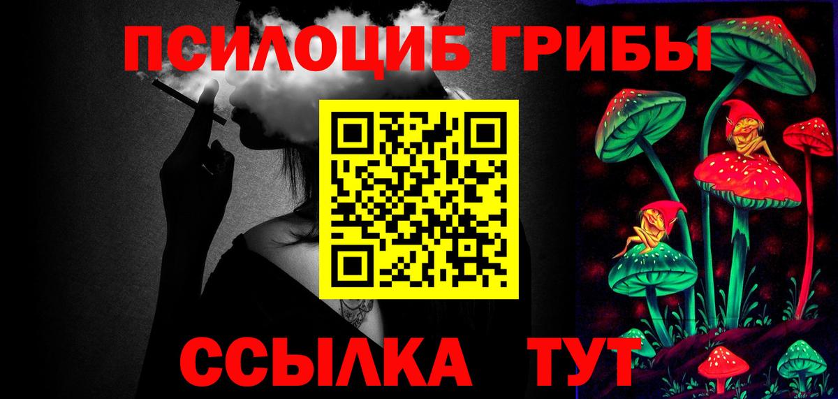 Псилоцибиновые грибы MAGIC MUSHROOMS  Вход с VPN  Псилоцибиновые грибы мухоморы  как найти наркотики  Волгоград 